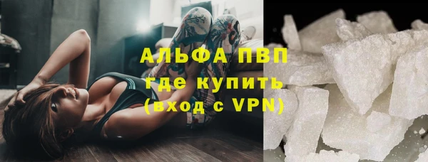PSILOCYBIN Белокуриха