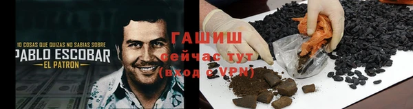 PSILOCYBIN Белокуриха