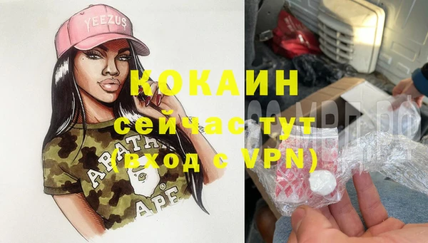 PSILOCYBIN Белокуриха