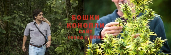 PSILOCYBIN Белокуриха